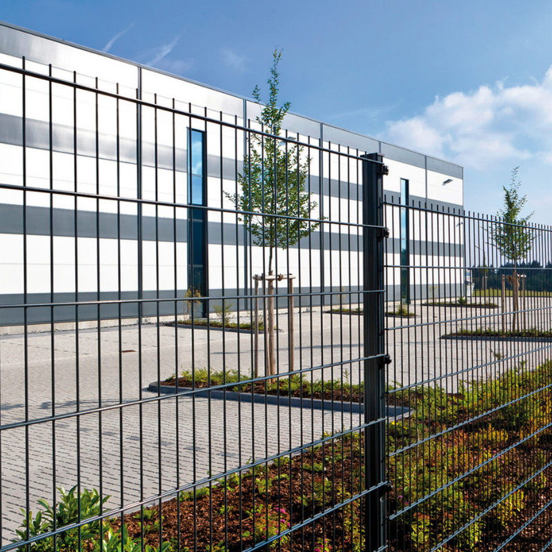 Doppelstabmatte Moosgrün Leicht 6/5/6